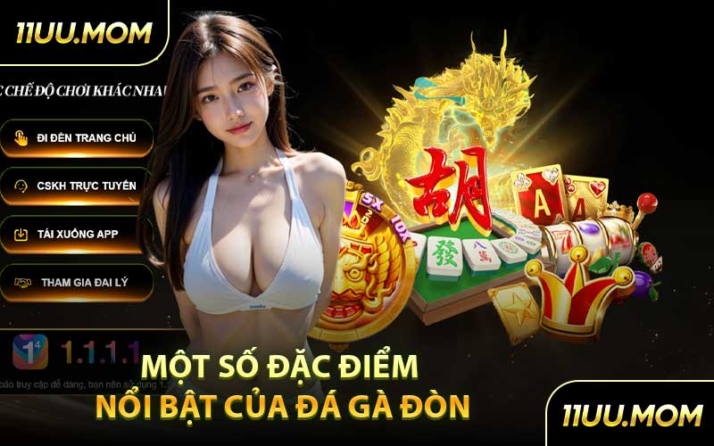 Một số đặc điểm nổi bật của đá gà đòn