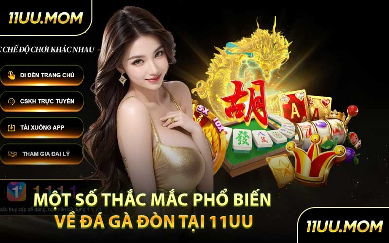 Một số thắc mắc phổ biến về đá gà đòn tại 11UU