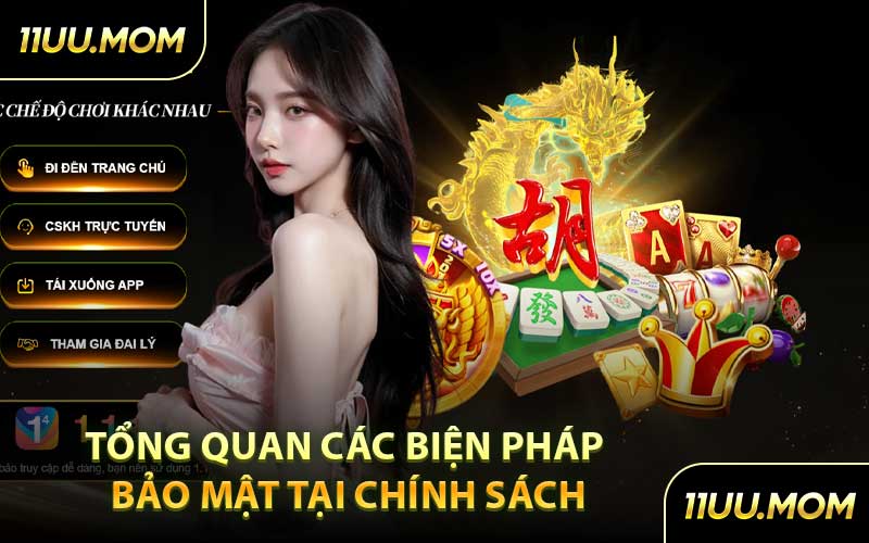 Tổng Quan Các Biện Pháp Bảo Mật Tại Chính Sách