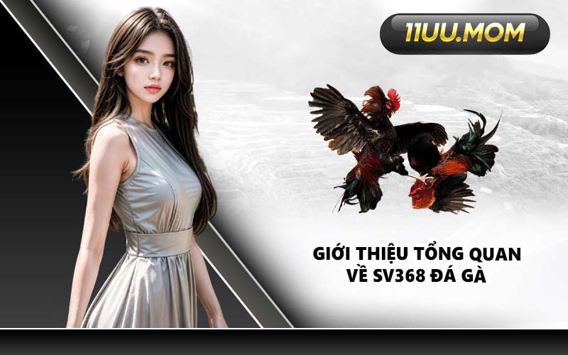 Giới thiệu tổng quan về SV368 Đá Gà